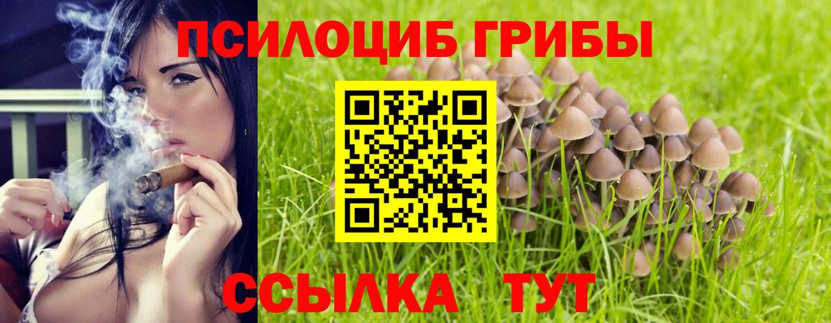 Галлюциногенные грибы GOLDEN TEACHER  наркотики  Еманжелинск 